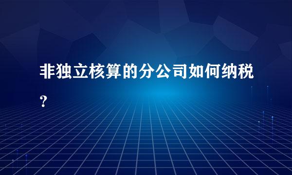 非独立核算的分公司如何纳税？