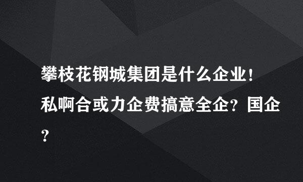 攀枝花钢城集团是什么企业！私啊合或力企费搞意全企？国企？