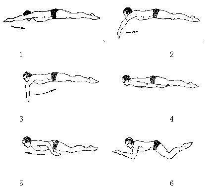怎样才能潜泳