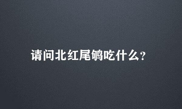 请问北红尾鸲吃什么？