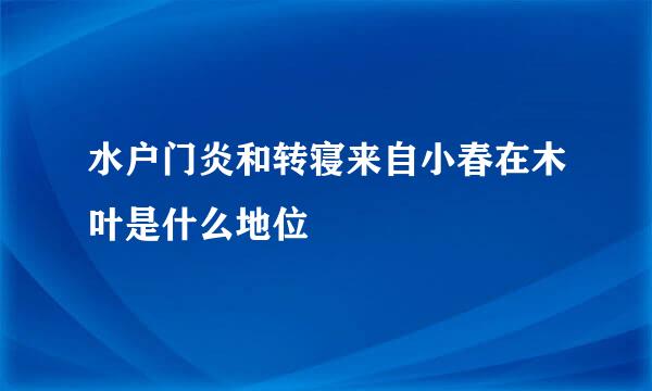 水户门炎和转寝来自小春在木叶是什么地位