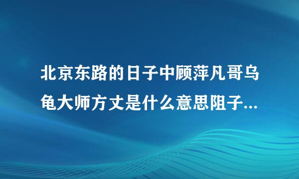 北京东路的日子中顾萍凡哥乌龟大师方丈是什么意思阻子书受的病样地