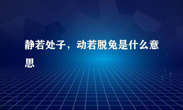 静若处子，动若脱兔是什么意思