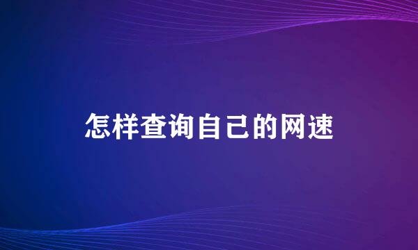 怎样查询自己的网速