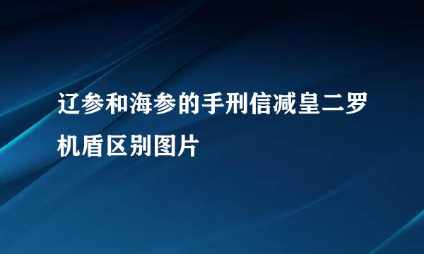 辽参和海参的手刑信减皇二罗机盾区别图片