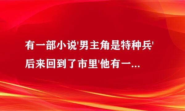 有一部小说'男主角是特种兵'后来回到了市里'他有一把武器叫龙牙'是世...