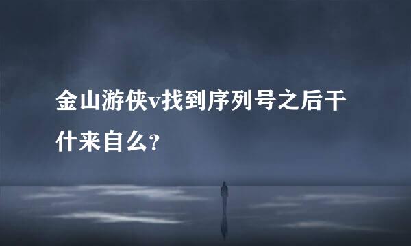 金山游侠v找到序列号之后干什来自么？