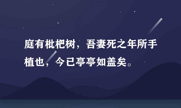 庭有枇杷树，吾妻死之年所手植也，今已亭亭如盖矣。