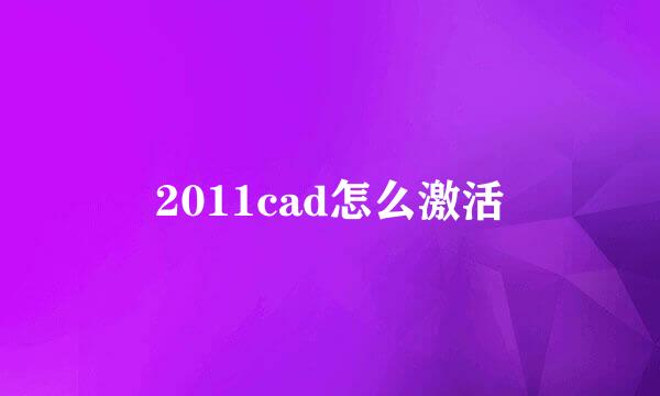 2011cad怎么激活