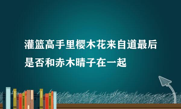 灌篮高手里樱木花来自道最后是否和赤木晴子在一起