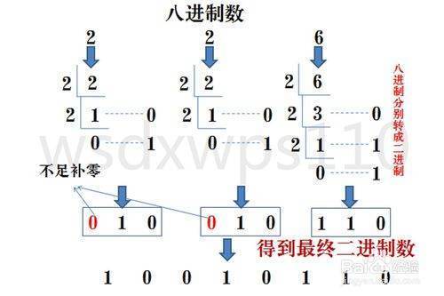 二进制，八进制，十进制，十六进制之间是怎么转换的