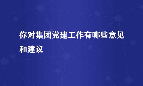 你对集团党建工作有哪些意见和建议