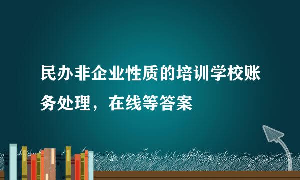 民办非企业性质的培训学校账务处理，在线等答案