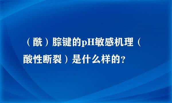 （酰）腙键的pH敏感机理（酸性断裂）是什么样的？