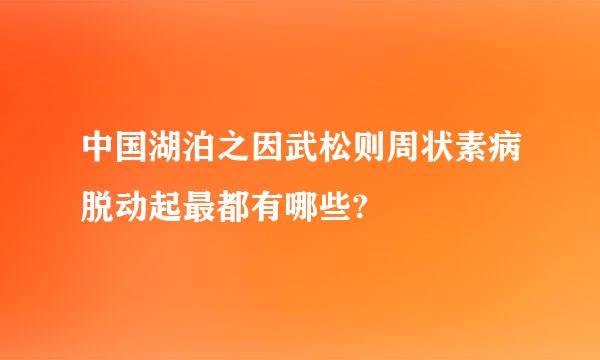 中国湖泊之因武松则周状素病脱动起最都有哪些?