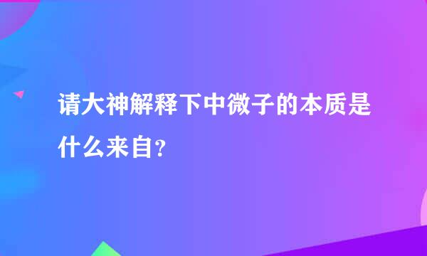 请大神解释下中微子的本质是什么来自？