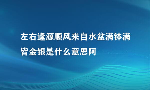 左右逢源顺风来自水盆满钵满皆金银是什么意思阿