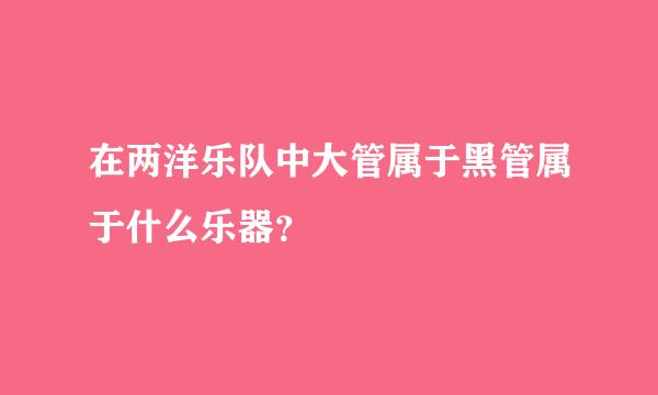 在两洋乐队中大管属于黑管属于什么乐器？