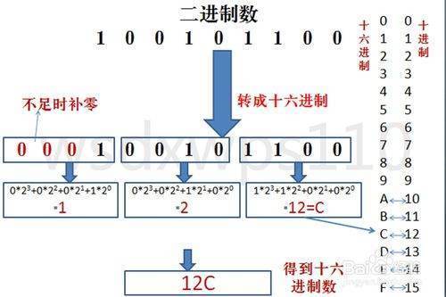 二进制，八进制，十进制，十六进制之间是怎么转换的