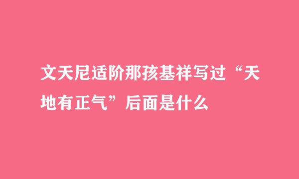 文天尼适阶那孩基祥写过“天地有正气”后面是什么