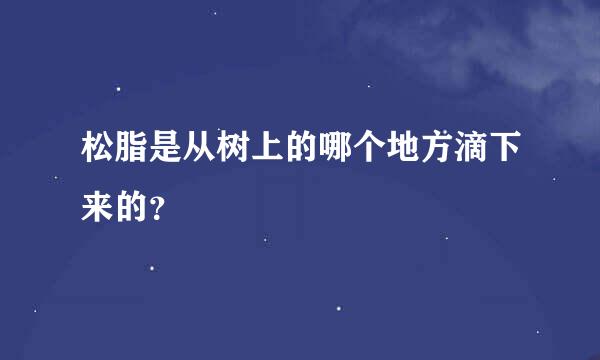 松脂是从树上的哪个地方滴下来的？