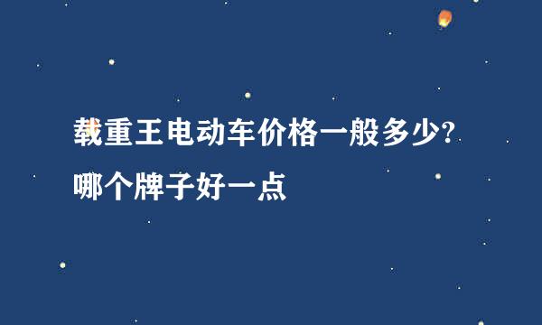 载重王电动车价格一般多少?哪个牌子好一点