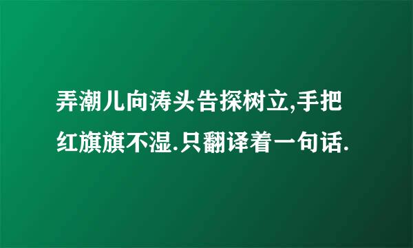 弄潮儿向涛头告探树立,手把红旗旗不湿.只翻译着一句话.