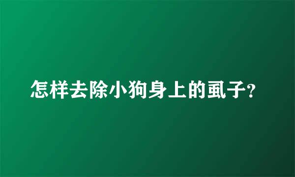 怎样去除小狗身上的虱子？