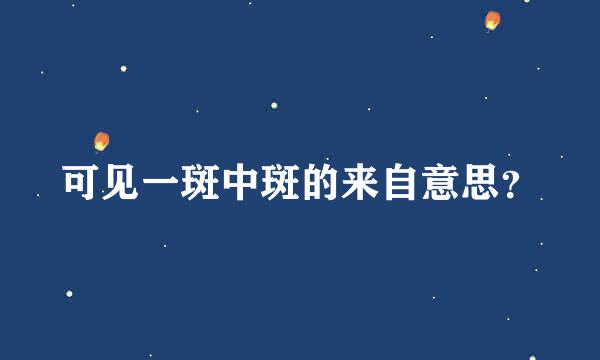 可见一斑中斑的来自意思？