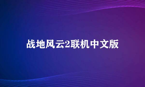 战地风云2联机中文版