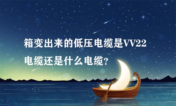 箱变出来的低压电缆是VV22电缆还是什么电缆？