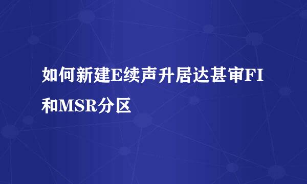 如何新建E续声升居达甚审FI和MSR分区