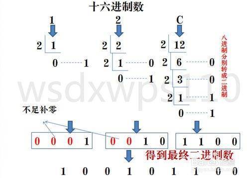 二进制，八进制，十进制，十六进制之间是怎么转换的