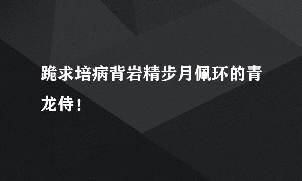 跪求培病背岩精步月佩环的青龙侍！