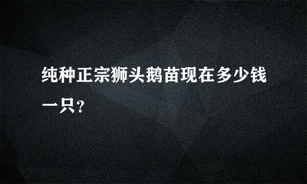 纯种正宗狮头鹅苗现在多少钱一只？