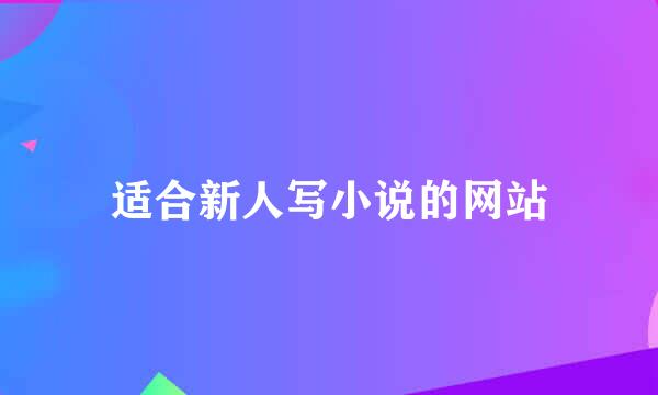 适合新人写小说的网站