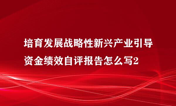 培育发展战略性新兴产业引导资金绩效自评报告怎么写2