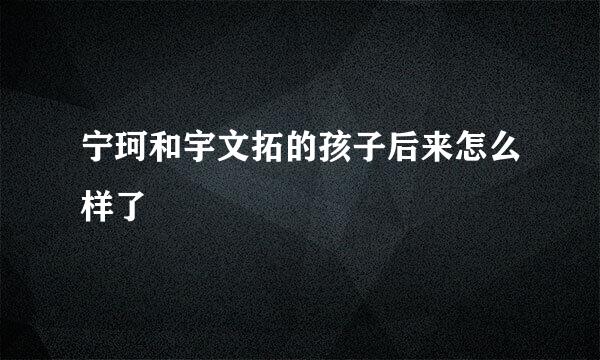 宁珂和宇文拓的孩子后来怎么样了