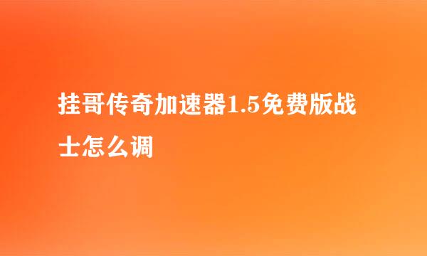 挂哥传奇加速器1.5免费版战士怎么调