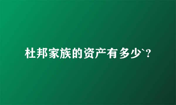 杜邦家族的资产有多少`?