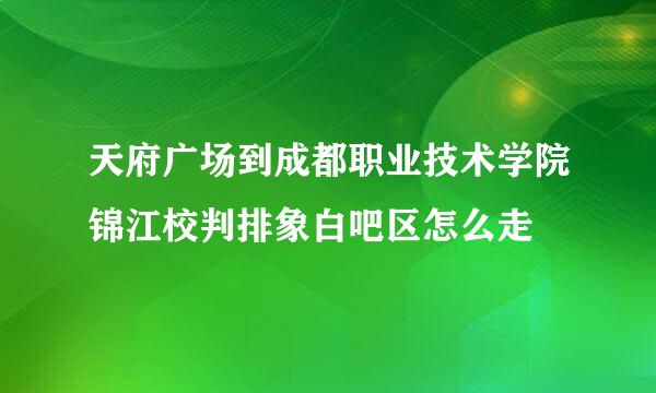 天府广场到成都职业技术学院锦江校判排象白吧区怎么走