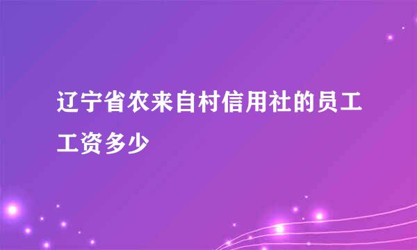 辽宁省农来自村信用社的员工工资多少