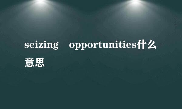 seizing opportunities什么意思