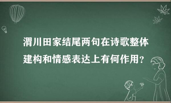 渭川田家结尾两句在诗歌整体建构和情感表达上有何作用？