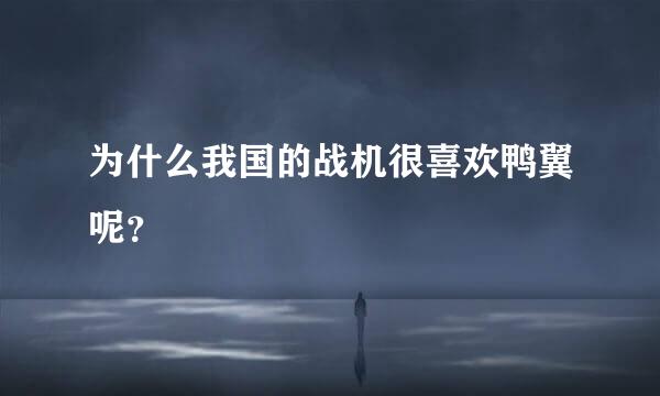 为什么我国的战机很喜欢鸭翼呢？