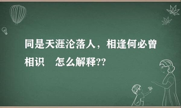 同是天涯沦落人，相逢何必曾相识 怎么解释??