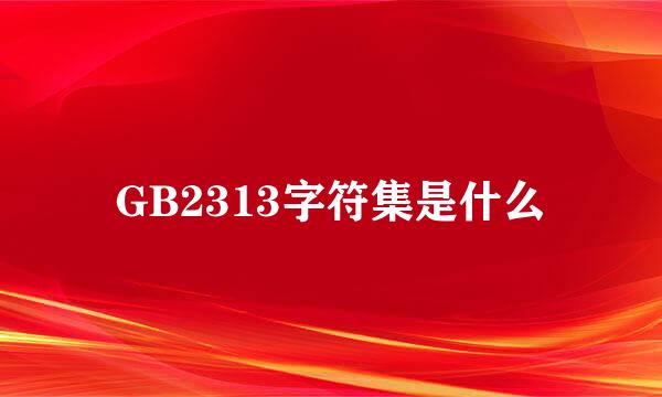 GB2313字符集是什么