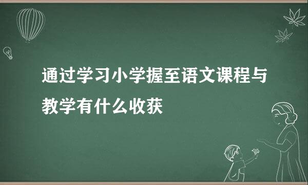 通过学习小学握至语文课程与教学有什么收获