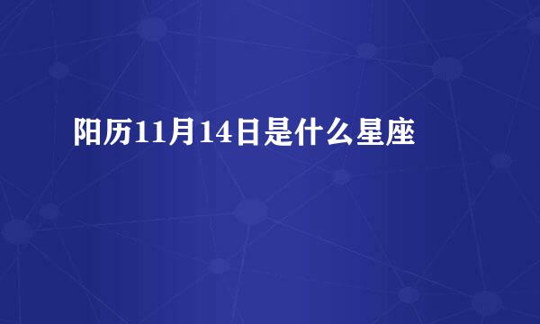 阳历11月14日是什么星座