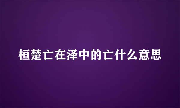 桓楚亡在泽中的亡什么意思